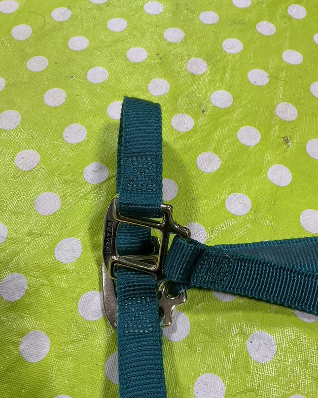 Halter Nylon Green  Small Horse Size