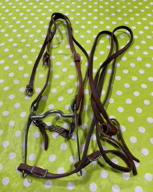 Bridle Western with Reins  5" Curb Bit  One Ear