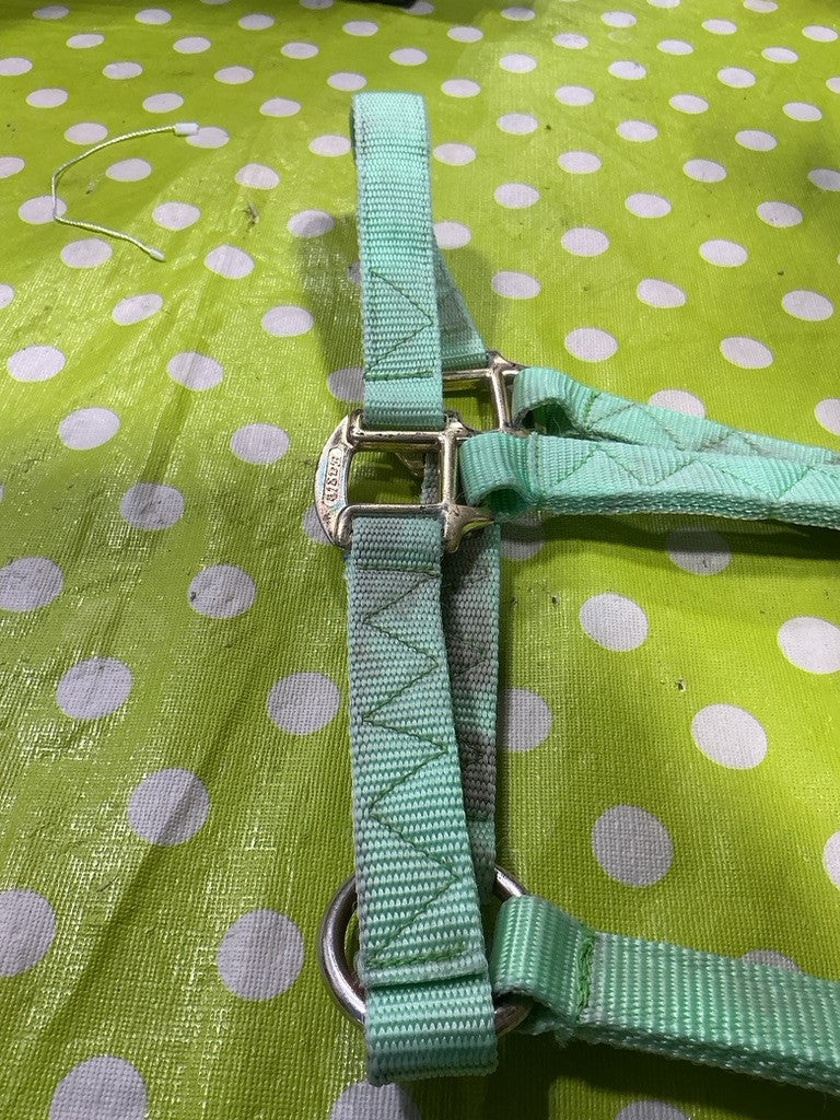 Halter Nylon  Light Green
