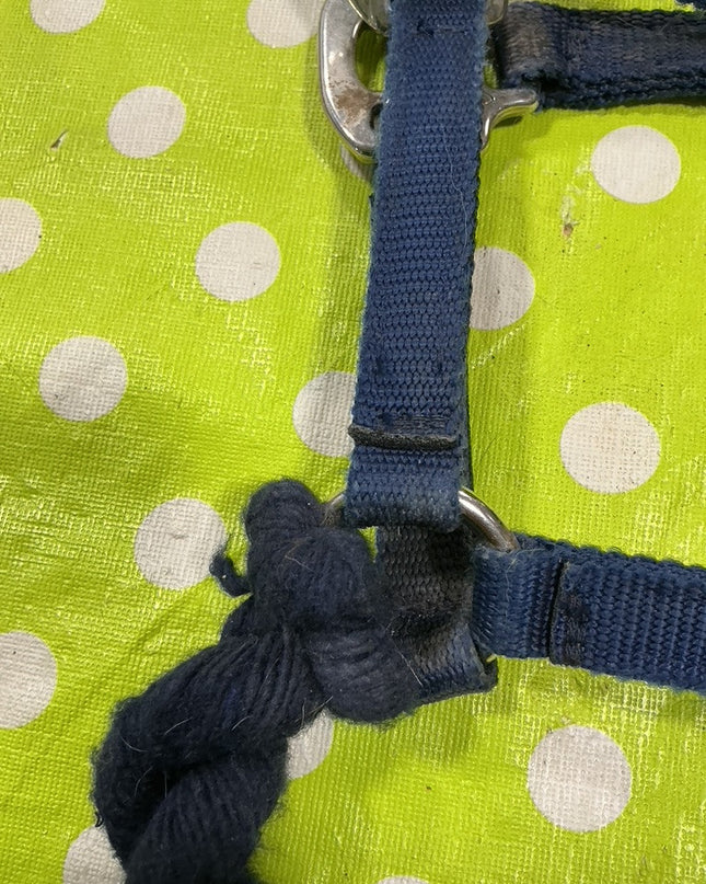 Halter with Lead Rope  Blue Nylon  Yearling/Small Horse