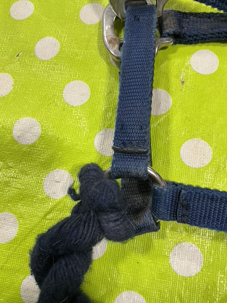 Halter with Lead Rope  Blue Nylon  Yearling/Small Horse