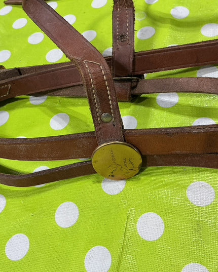 Bridle Western with Reins. 5" Curb Bit