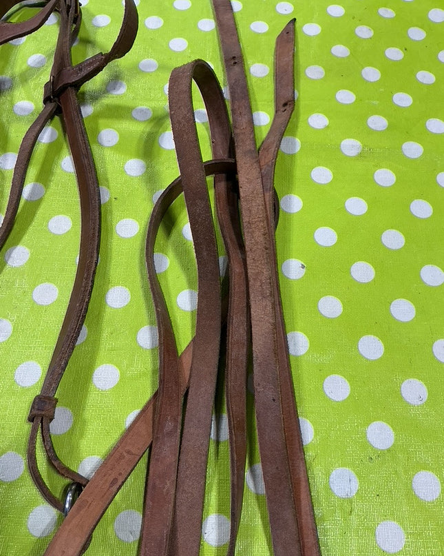 Bridle Western with Reins. 5" Curb Bit