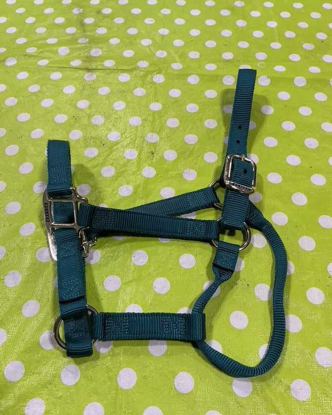 Halter Nylon Green  Small Horse Size