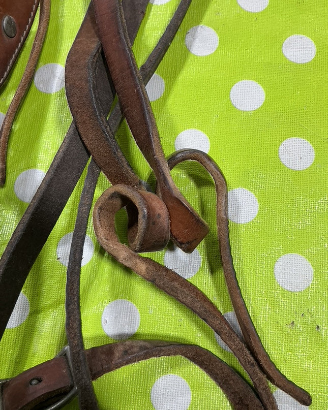 Bridle Western with Reins  5" Curb Bit  One Ear