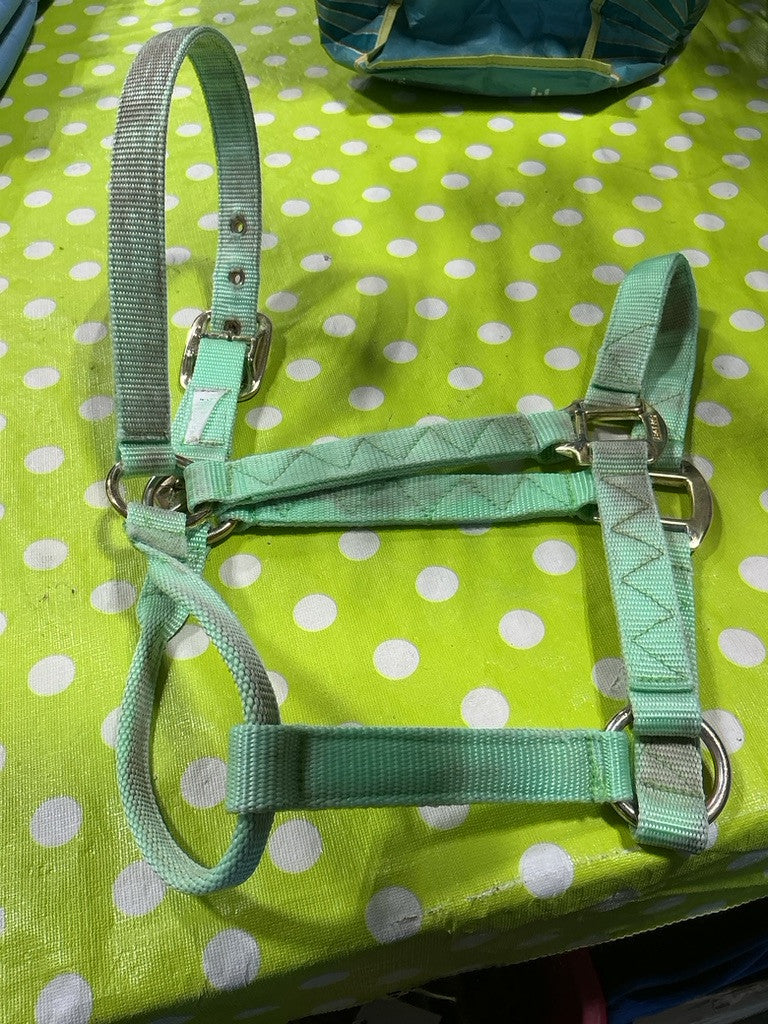 Halter Nylon  Light Green
