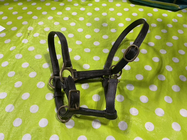 Halter Brown Leather Weanling
