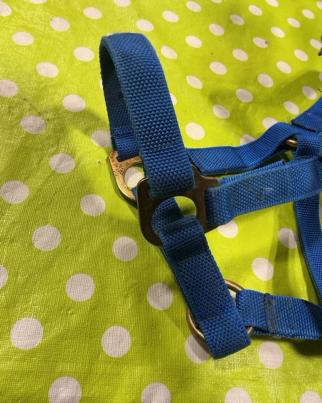 Halter Blue Nylon Yearling Size