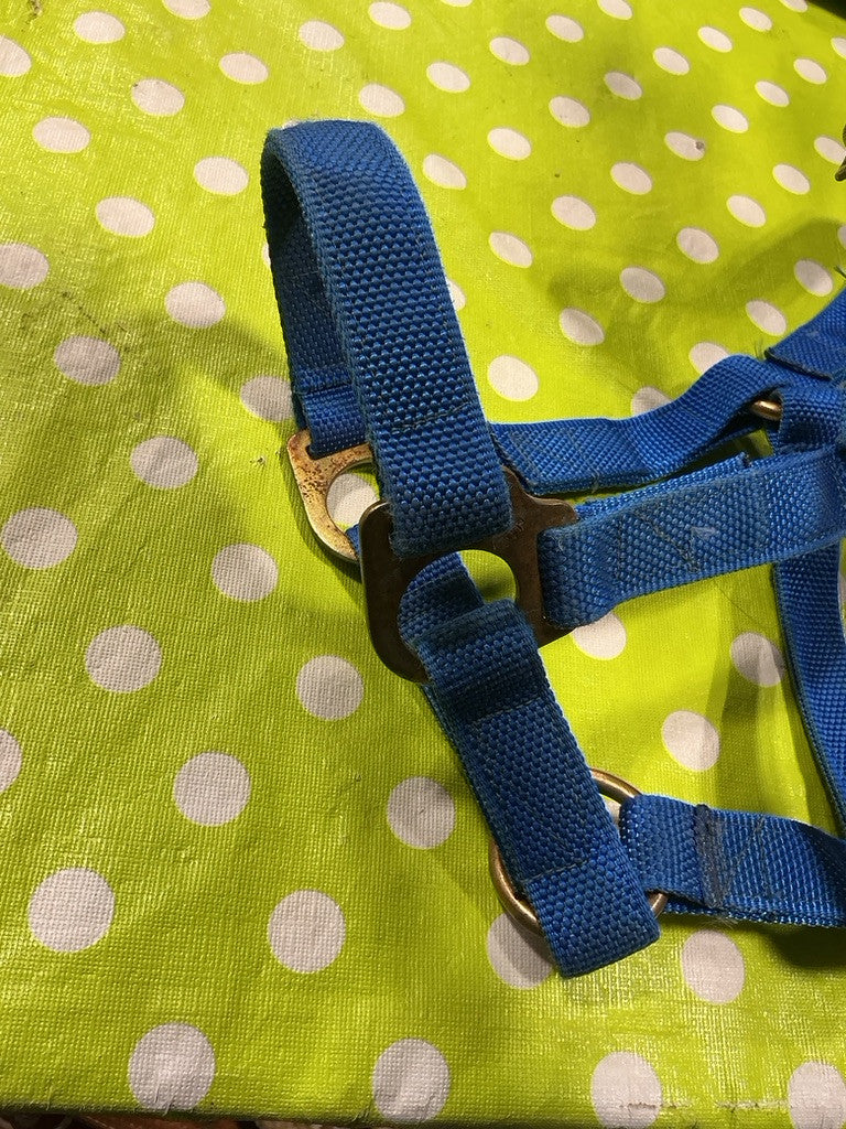 Halter Blue Nylon Yearling Size