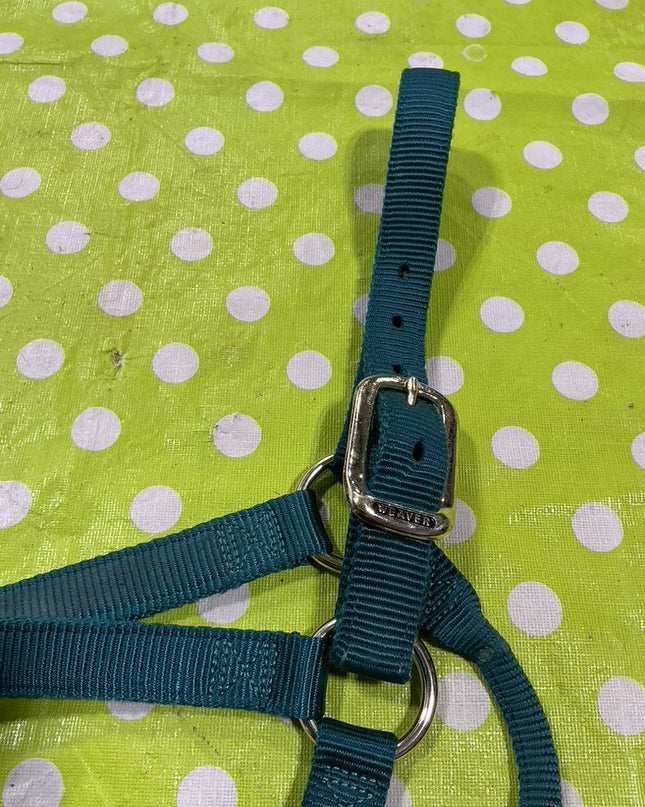 Halter Nylon Green  Small Horse Size
