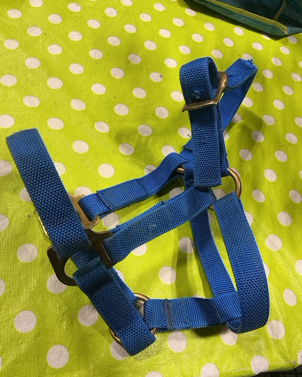 Halter Blue Nylon Yearling Size