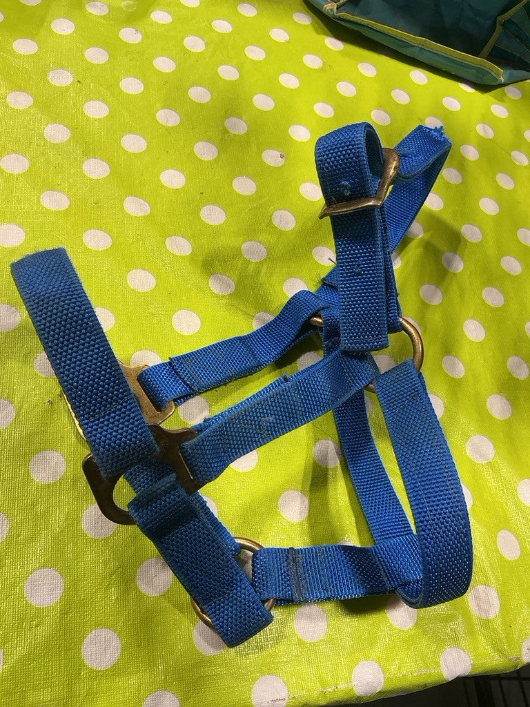 Halter Blue Nylon Yearling Size