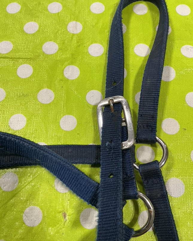 Halter with Lead Rope  Blue Nylon  Yearling/Small Horse