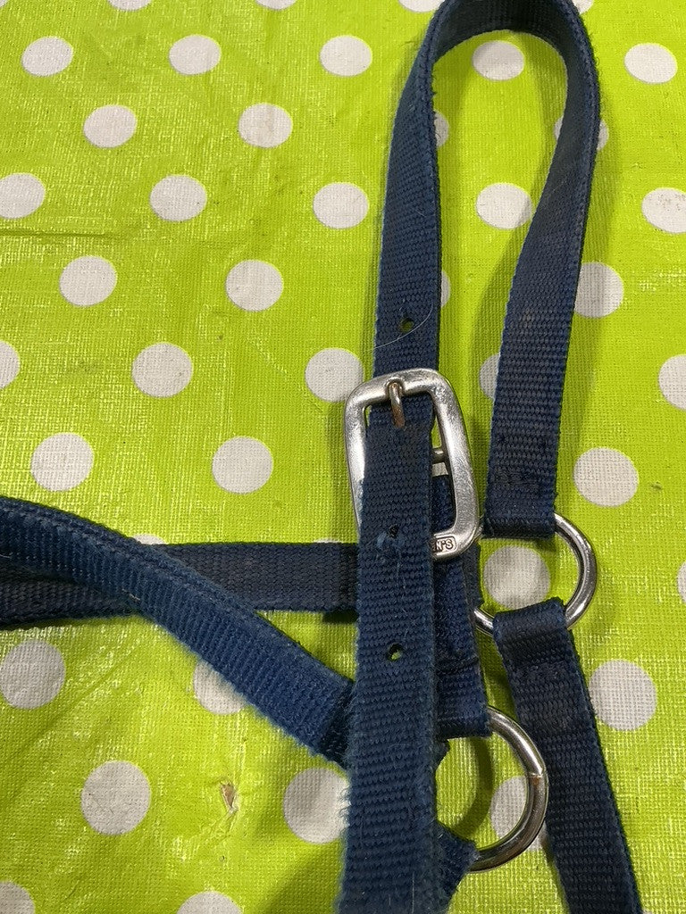 Halter with Lead Rope  Blue Nylon  Yearling/Small Horse