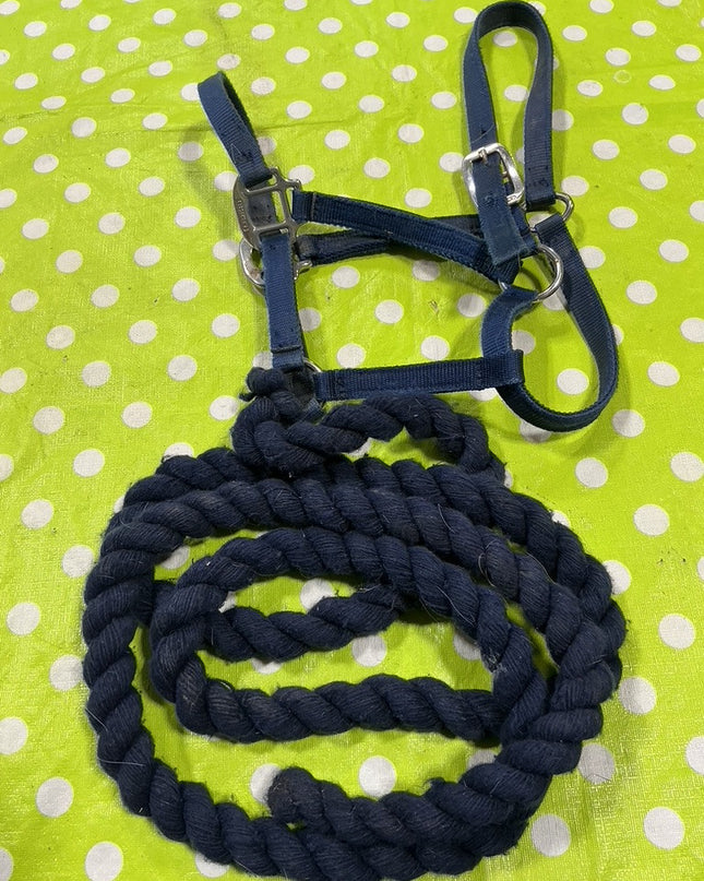Halter with Lead Rope  Blue Nylon  Yearling/Small Horse