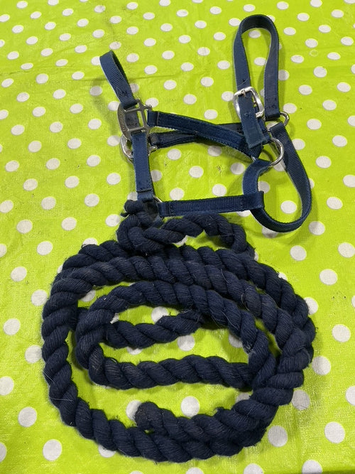 Halter with Lead Rope – Nylon, Blue, Yearling/Small Horse | Used, Good