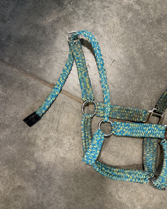 Halter Nylon Blue/Yellow 