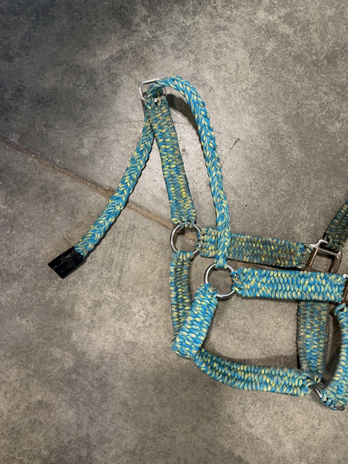 Halter Nylon Blue/Yellow