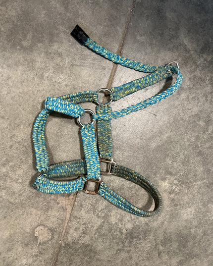 Halter Nylon Blue/Yellow 