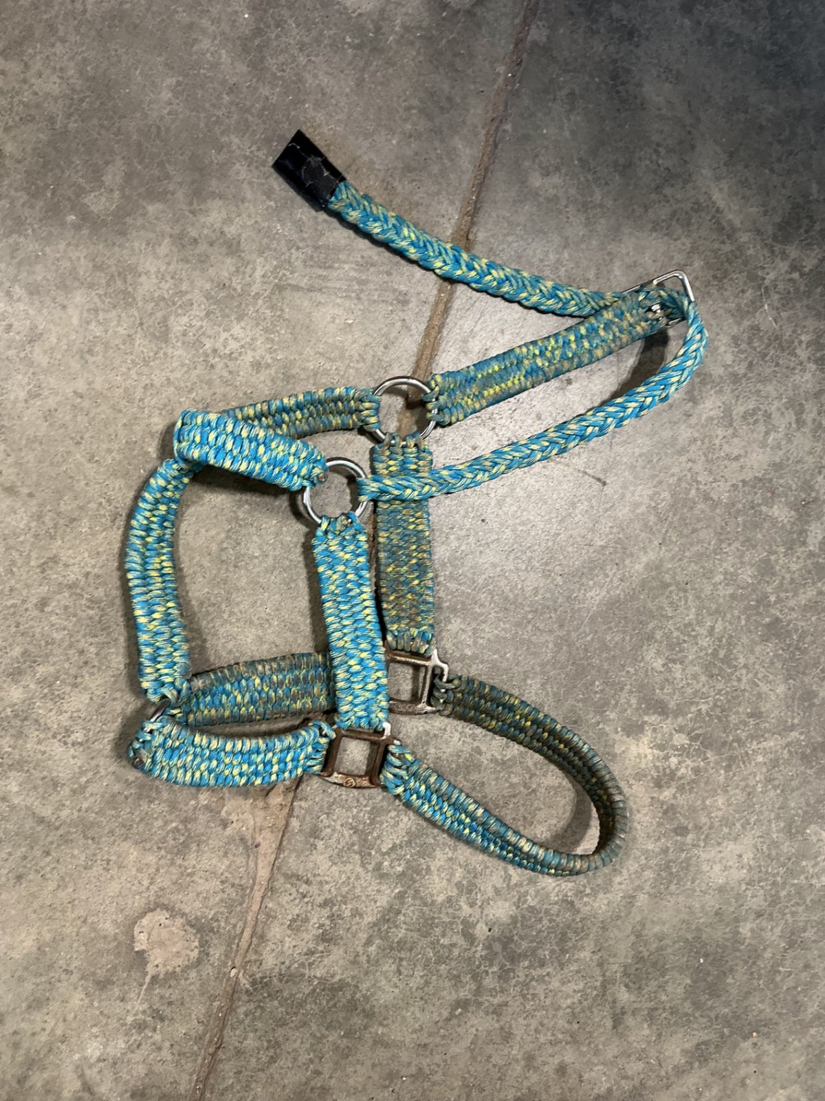 Halter Nylon Blue/Yellow