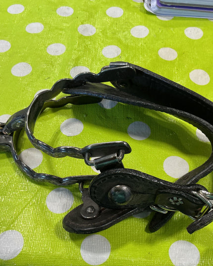 Western Spurs & Straps Decorative 