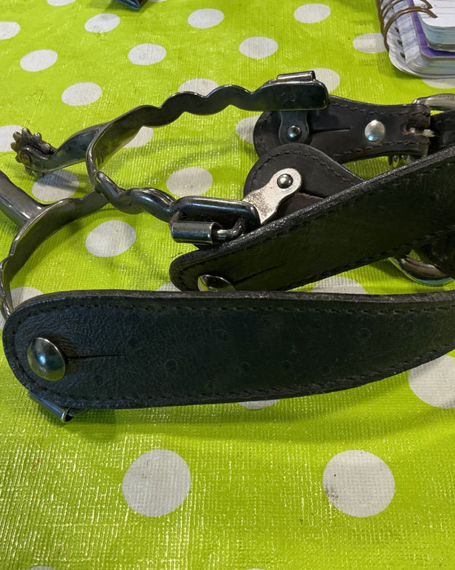 Western Spurs & Straps Decorative 