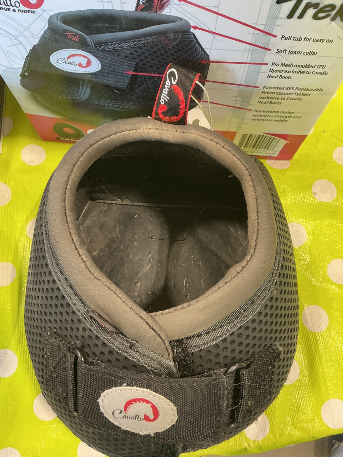 Cavallo Trek Size 6 PAIR