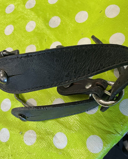 Western Spurs & Straps Decorative 