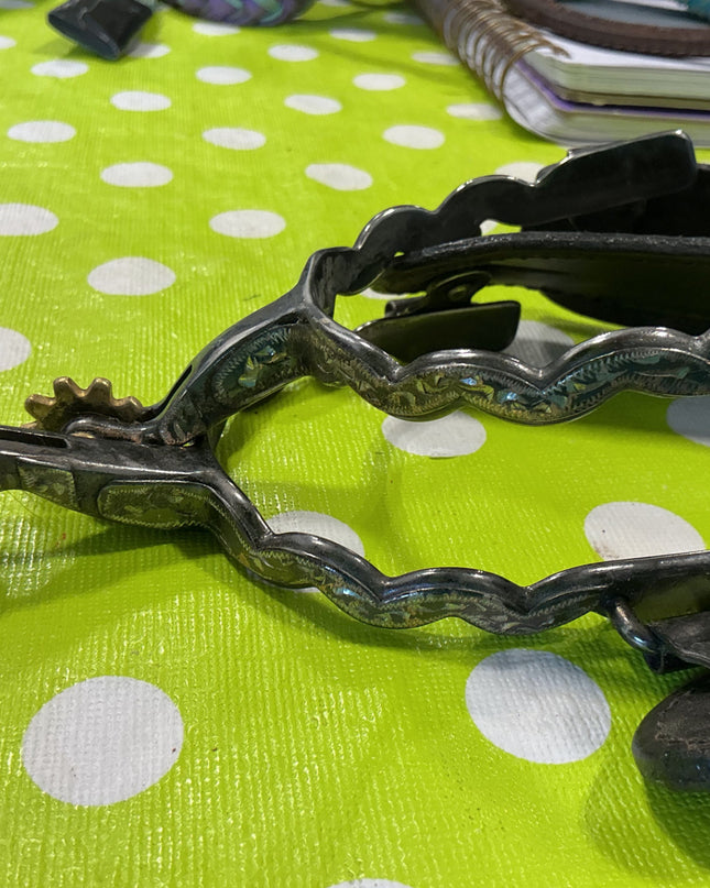 Western Spurs & Straps Decorative 
