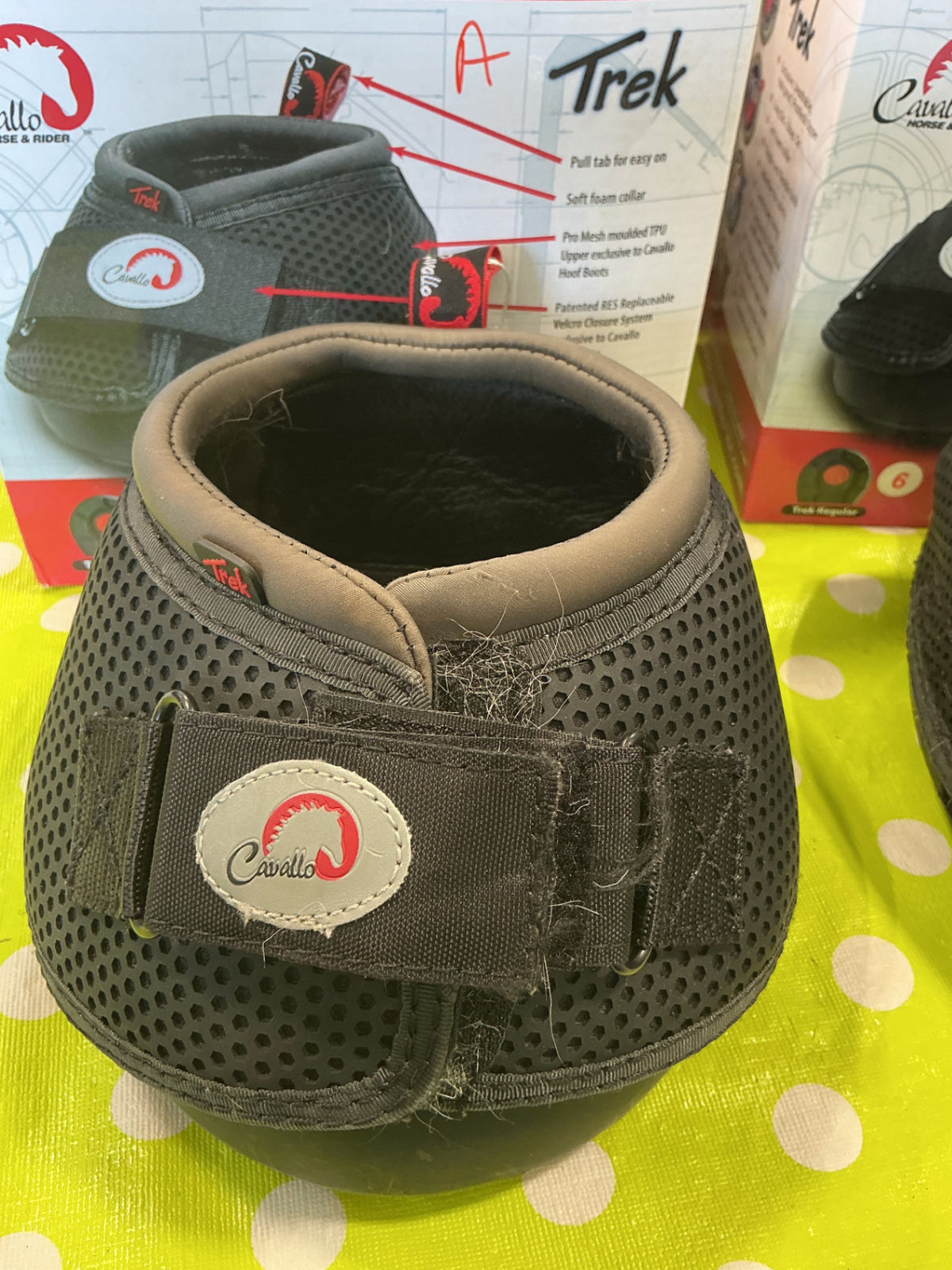 Cavallo Trek Size 6 PAIR