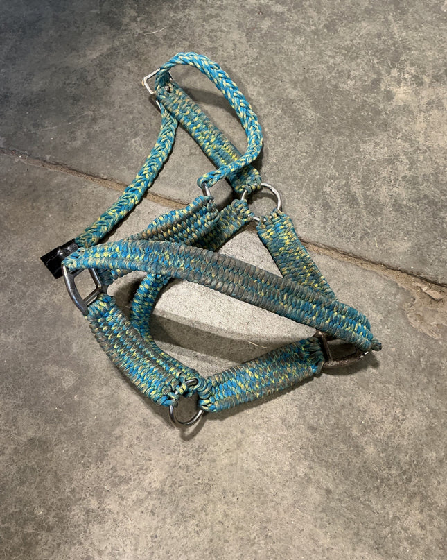 Halter Nylon Blue/Yellow 