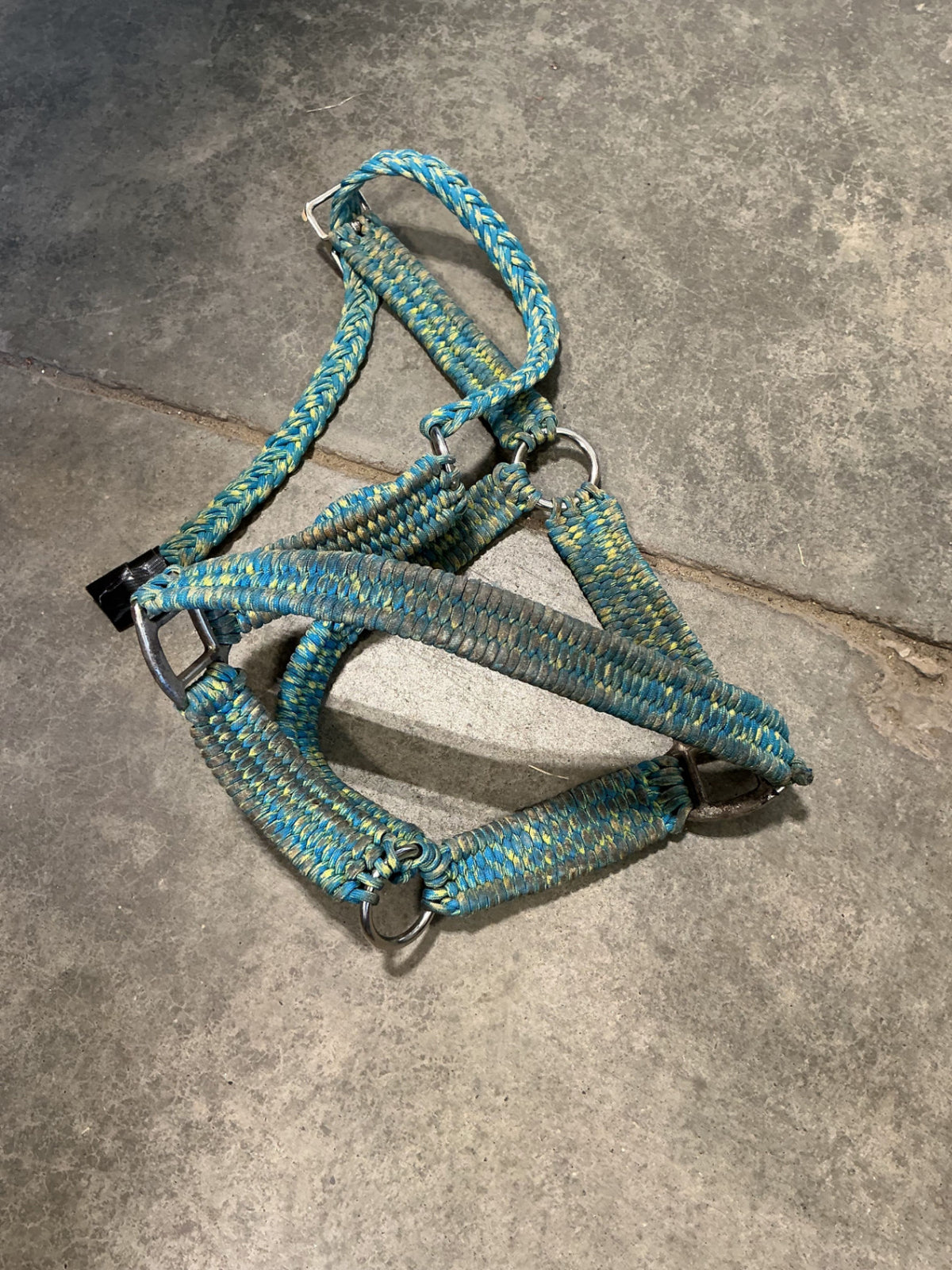 Halter Nylon Blue/Yellow