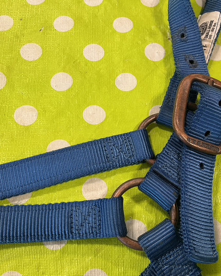 Nylon Halter Blue SMHorse