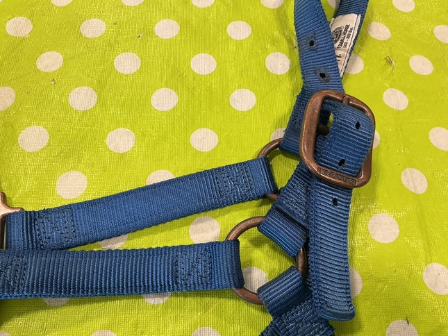 Nylon Halter Blue SMHorse