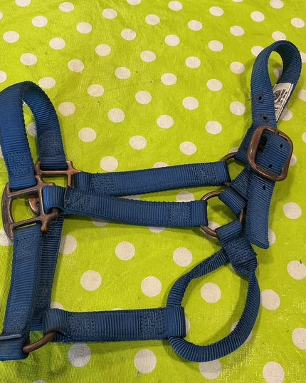 Nylon Halter Blue SMHorse