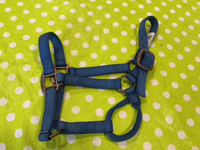 Nylon Halter Blue SMHorse