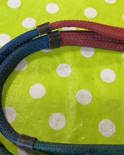 English Training Reins 