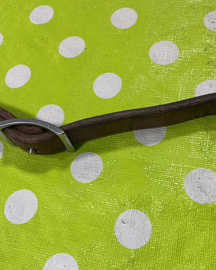 Tie Down Strap 