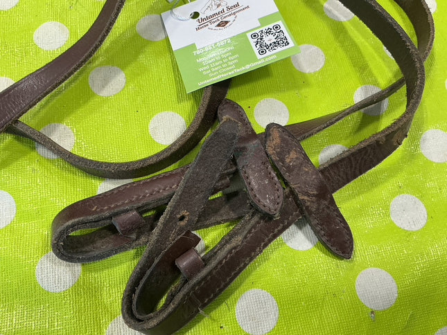 English Training Reins 