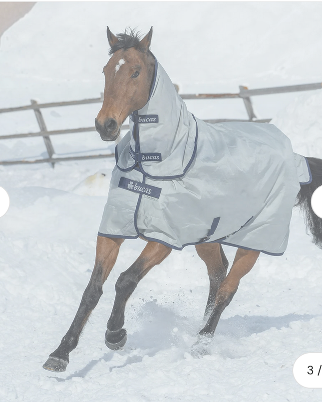 Bucas Power Extra Turnout Blanket 300 g & Neck 72"
