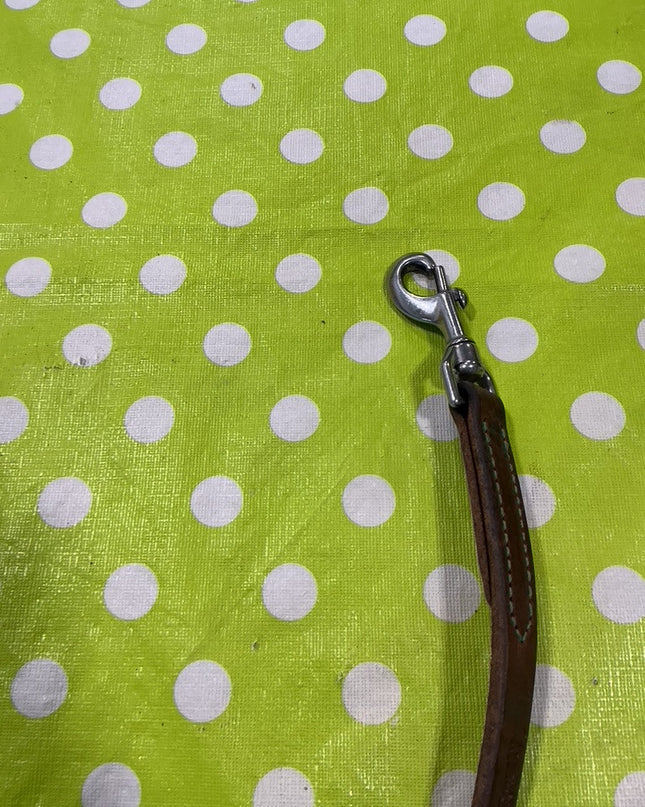 Tie Down Strap 