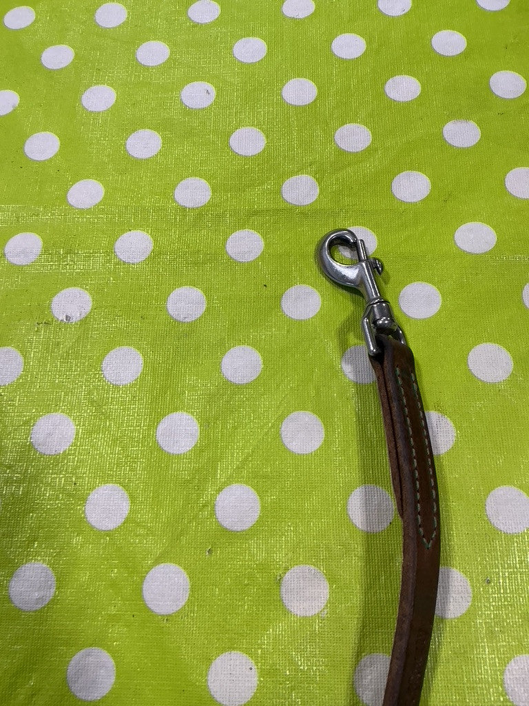 Tie Down Strap 