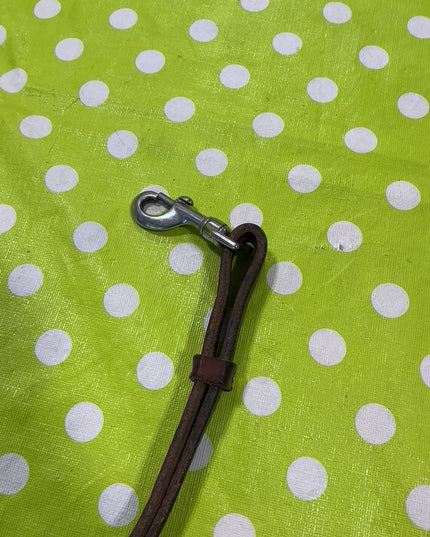 Tie Down Strap 