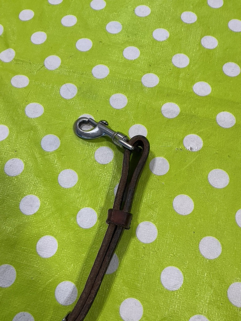 Tie Down Strap 