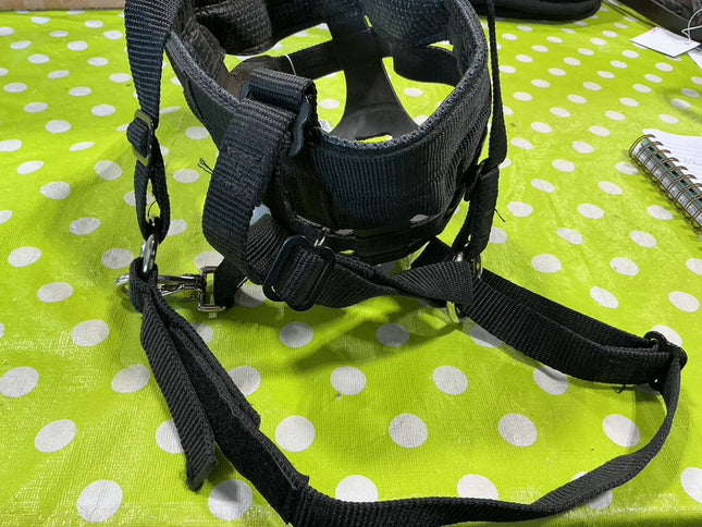 Grazzing Muzzle Horse 
