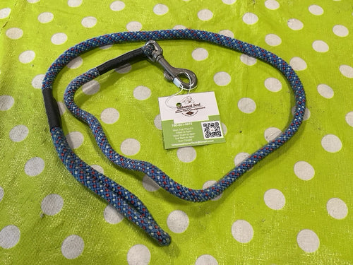 Dog Leash – Blue/Red/White | Used, Acceptable