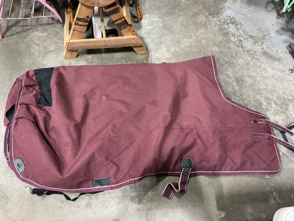 Winter Glover 76-78" Burgundy