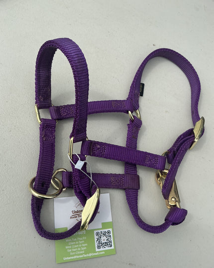 Halter Nylon Mini Purple 