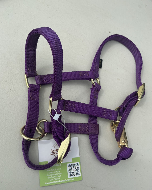 Halter Nylon Mini Purple 