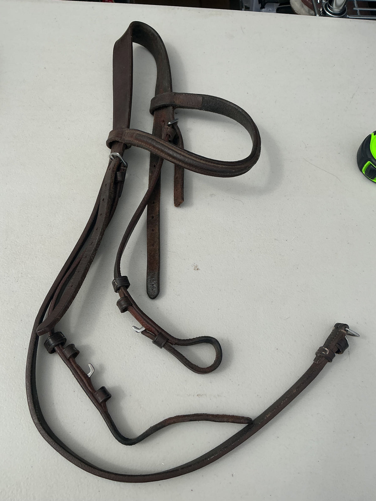 English Bridle